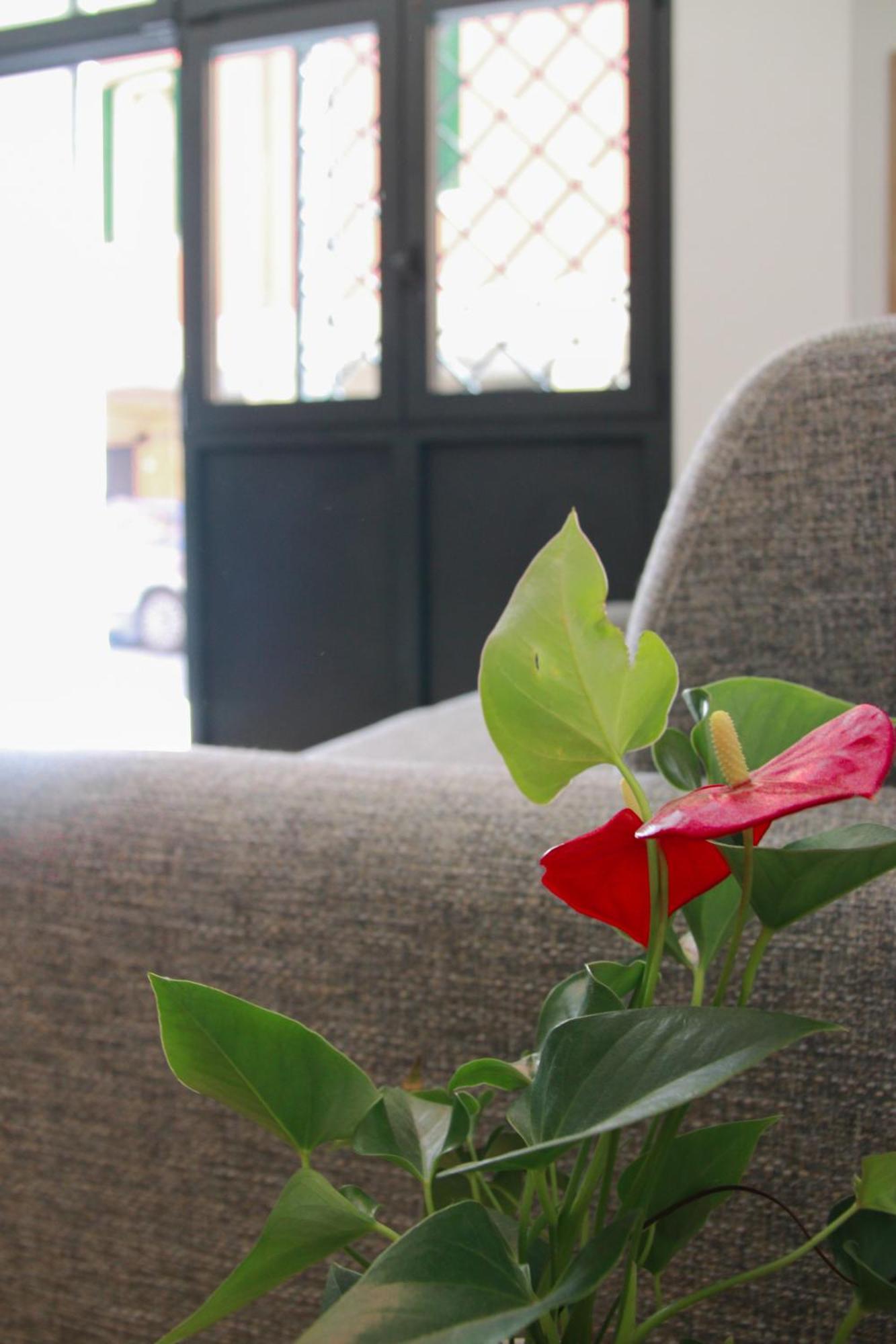 U Zone Apartment Μπολόνια Εξωτερικό φωτογραφία